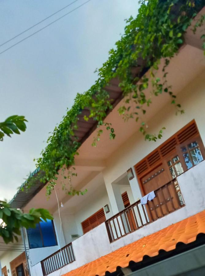 Green View Guest Mirissa Ngoại thất bức ảnh