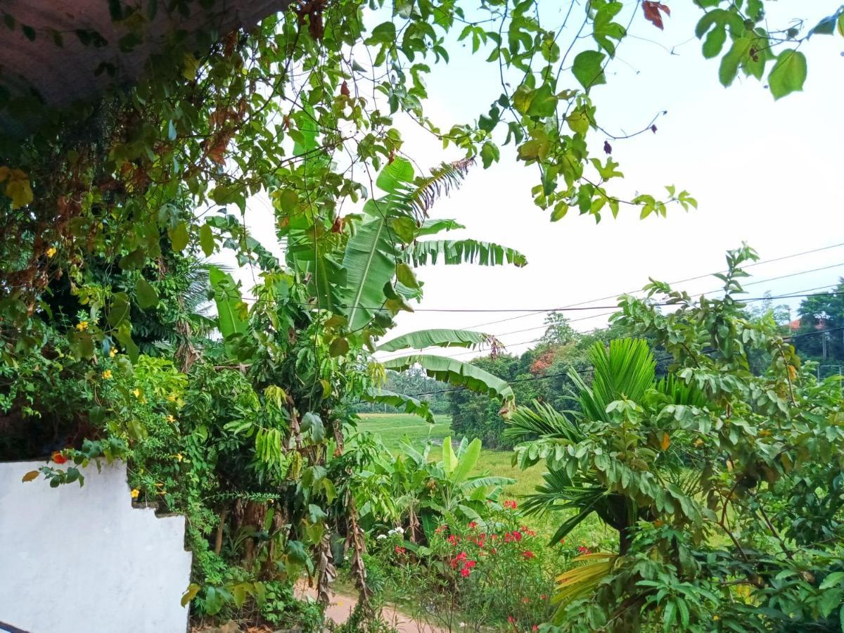 Green View Guest Mirissa Ngoại thất bức ảnh