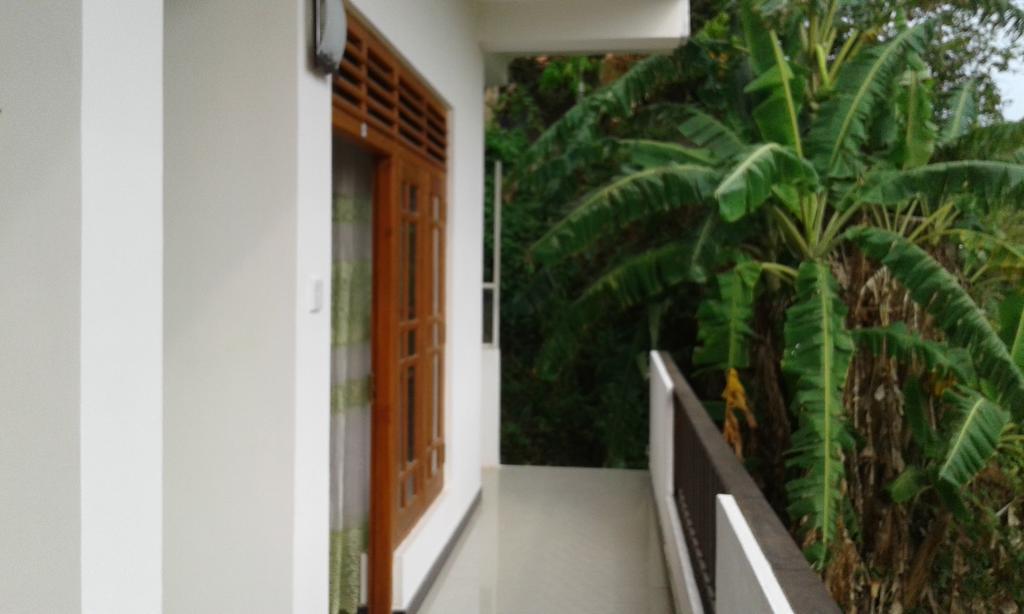 Green View Guest Mirissa Ngoại thất bức ảnh