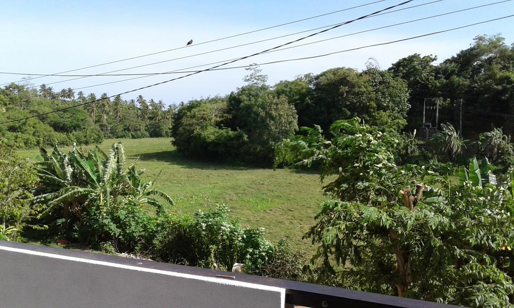 Green View Guest Mirissa Ngoại thất bức ảnh
