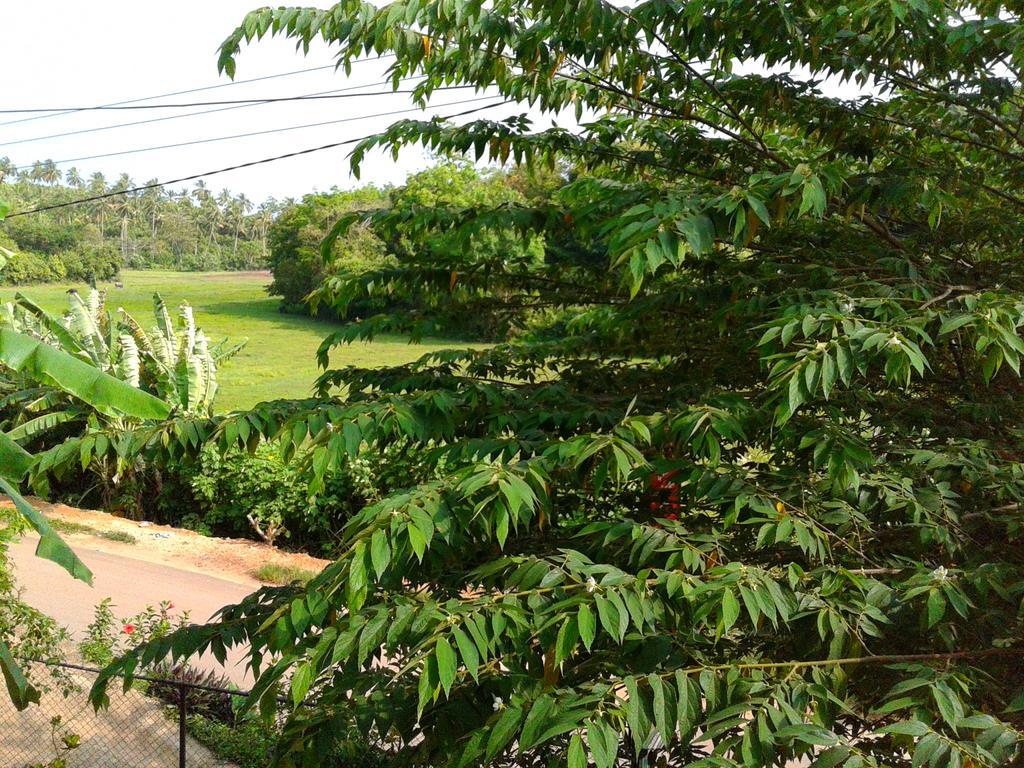 Green View Guest Mirissa Ngoại thất bức ảnh